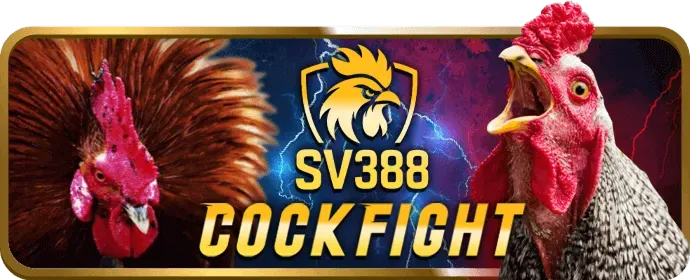 Đá Gà j88bet win